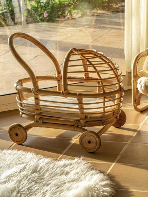 Coche De Rattan